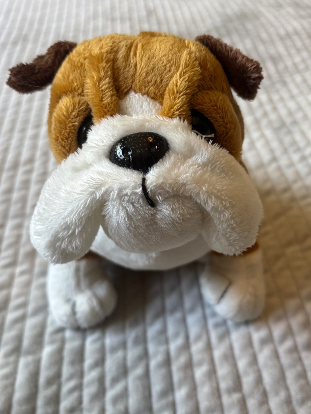 Ganz Webkinz Bulldog No Code
